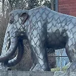 Mamut Szklarska Poręba