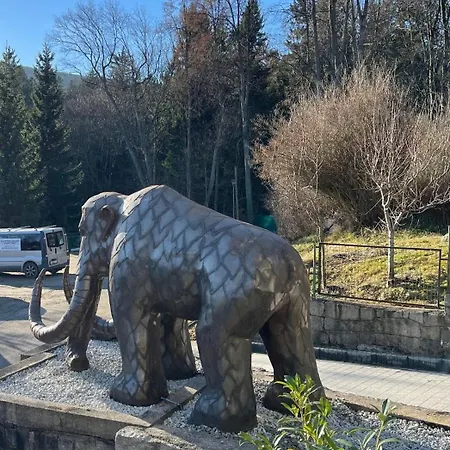 Appartement Mamut *